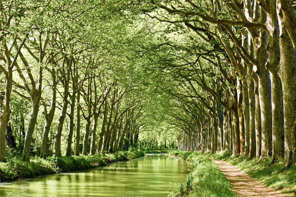 article ou courir a toulouse canal du midi
