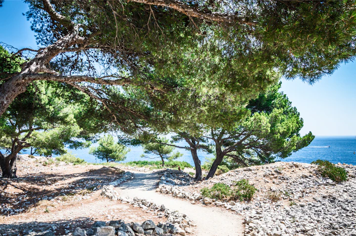 article ou courir a marseille 4