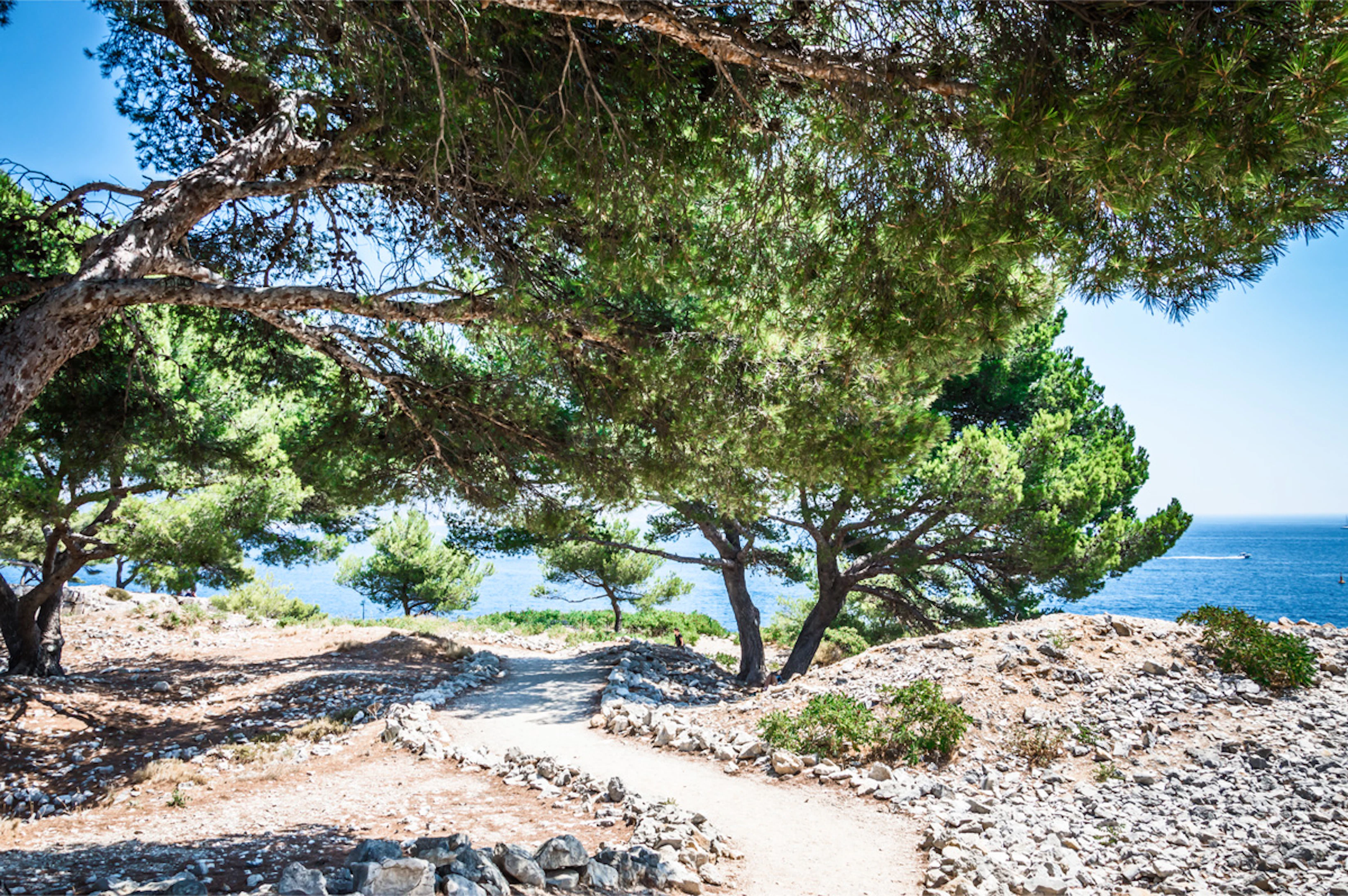 article ou courir a marseille 4