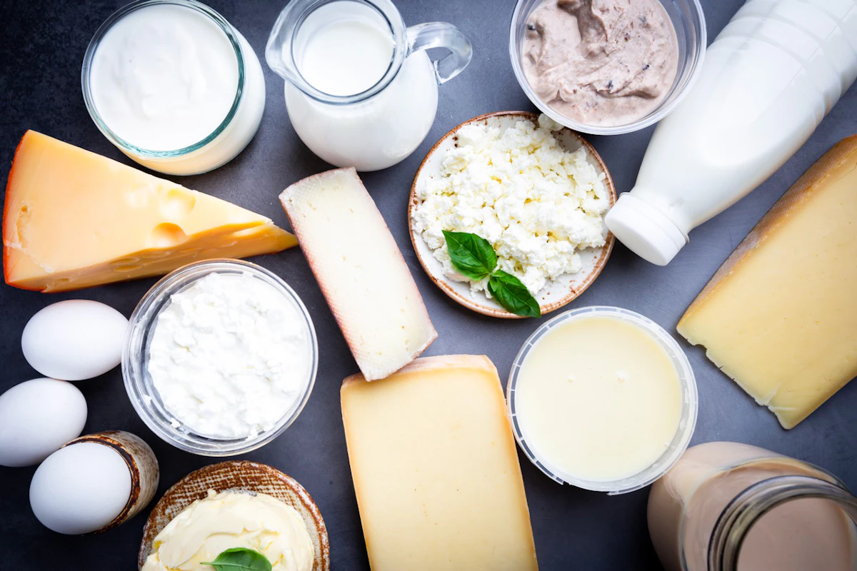 article 10 conseils alimentation produits laitiers