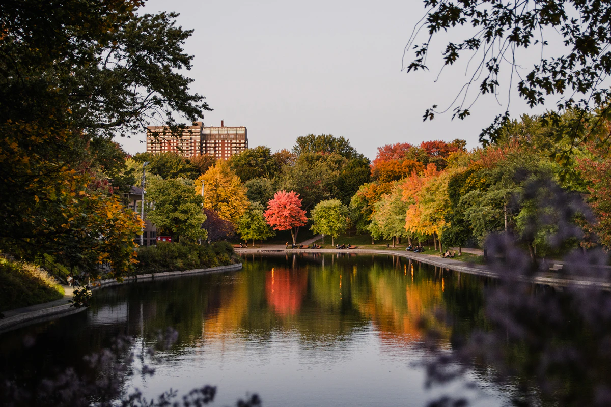marathon montreal parc lafontaine