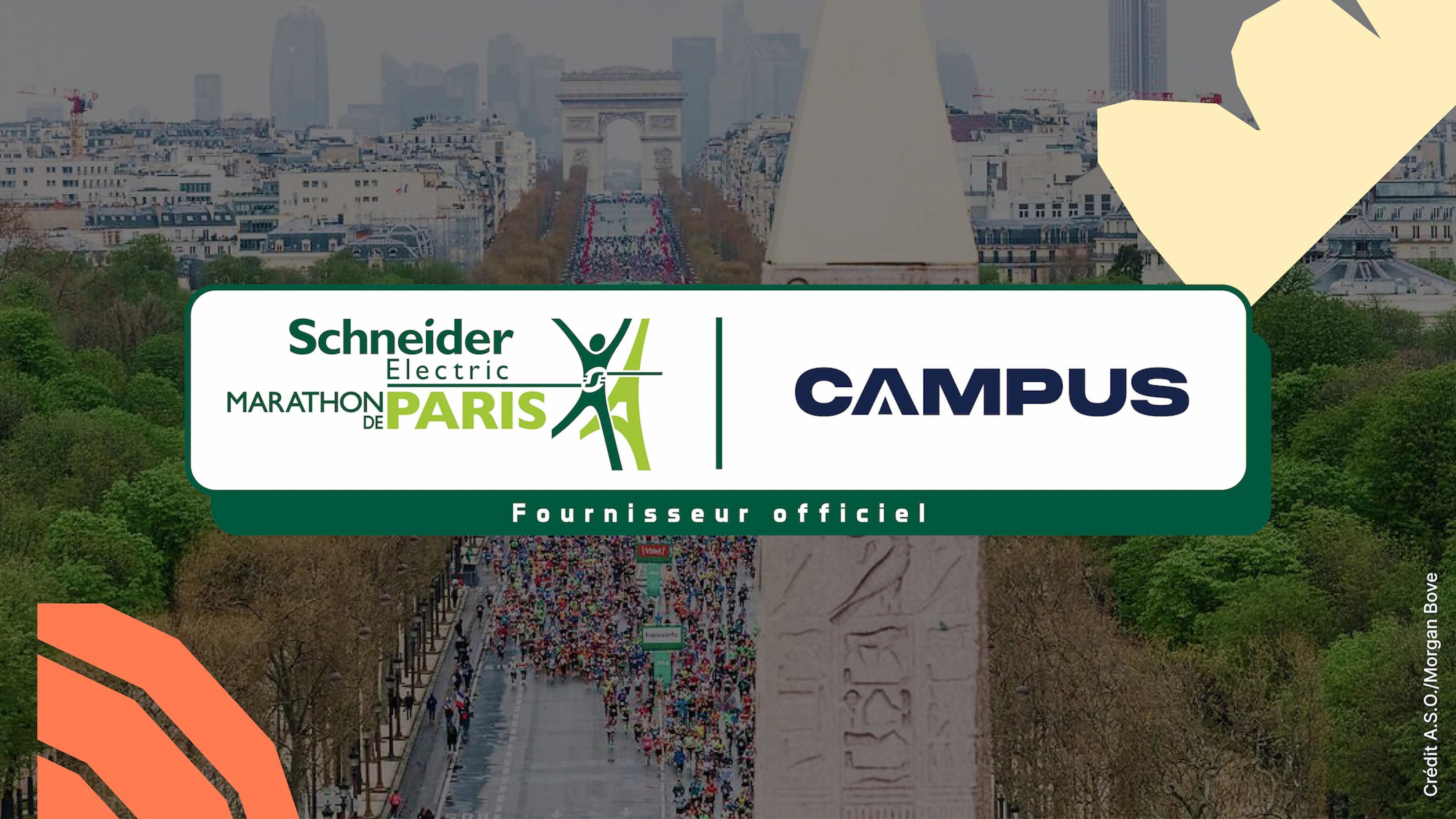 article partenaire mdp