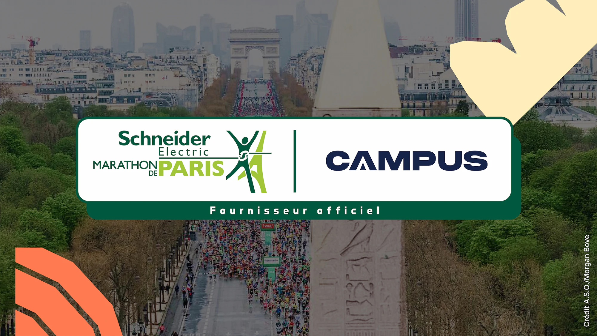 article partenaire mdp