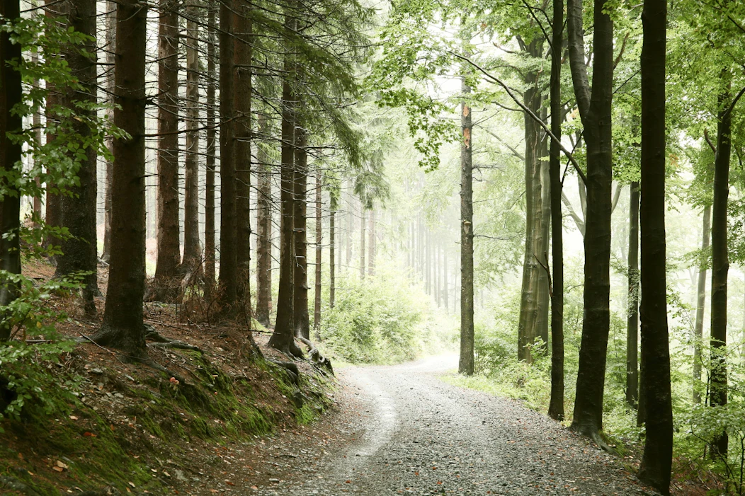 Trail Nocturne d'halloween Marchaux