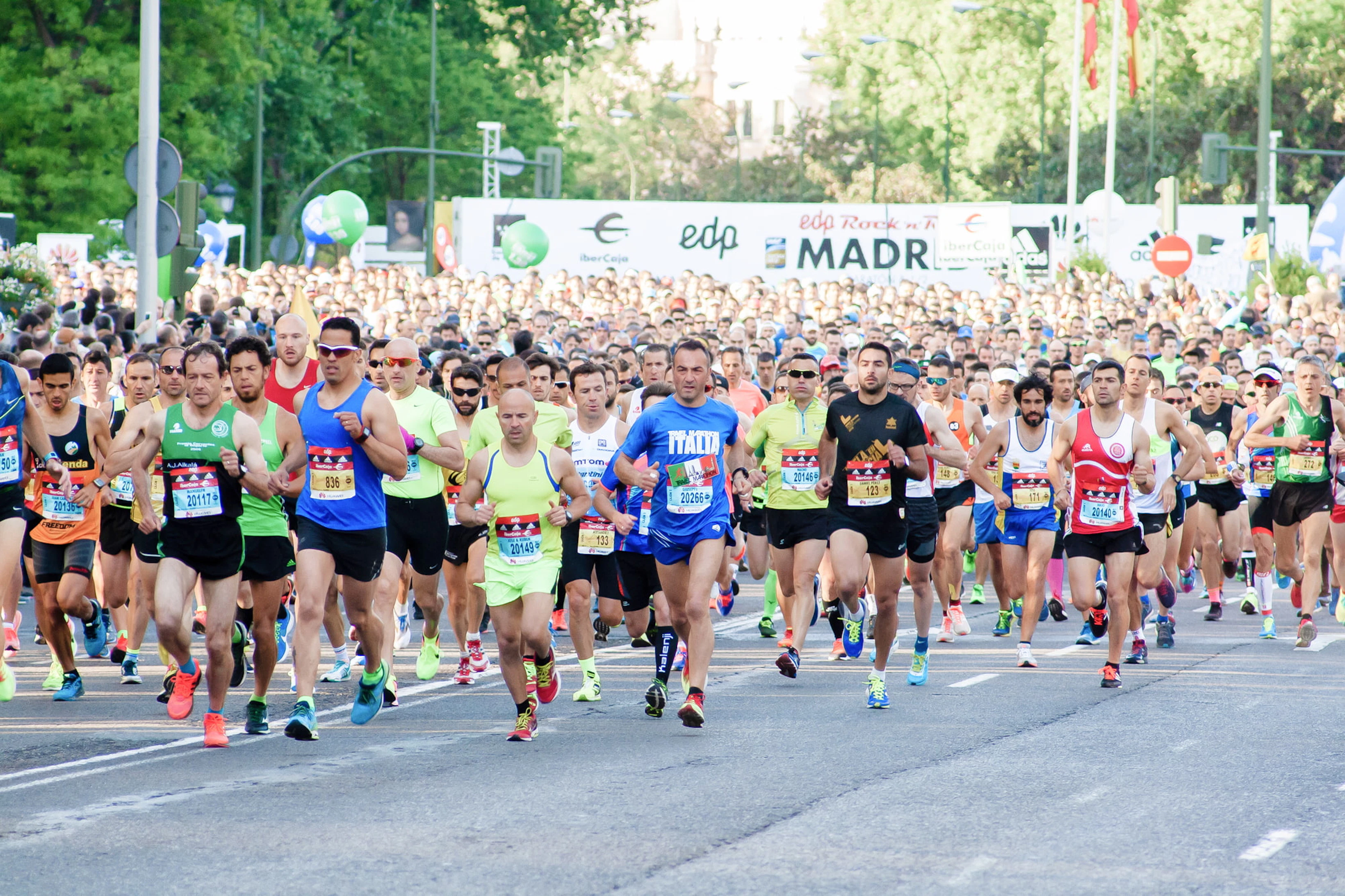 major world marathons