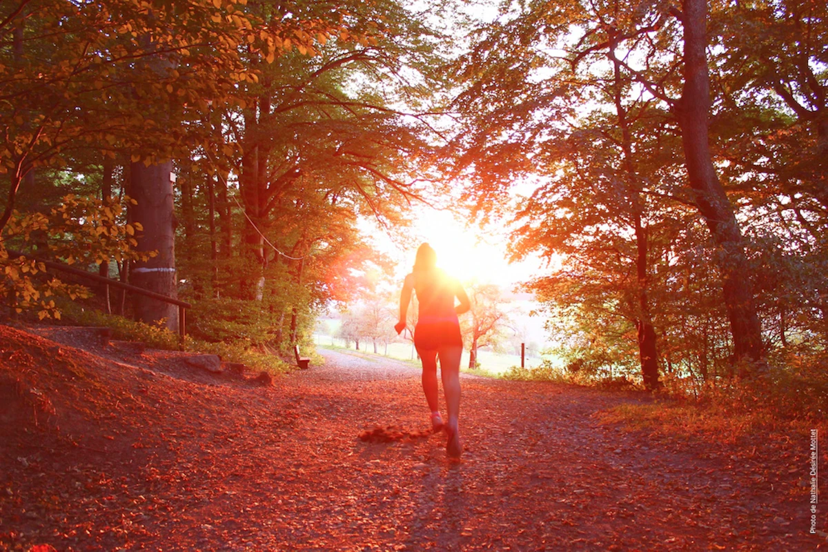 Les nombreux formats de l'EcoTrail vont contenter tous types de coureur·euses.