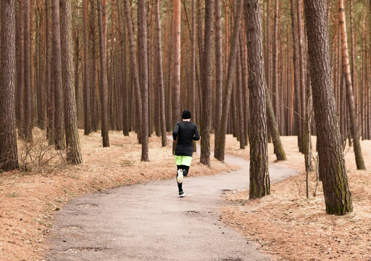 ultra trail