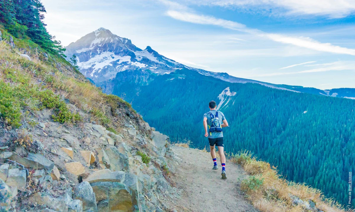 champion trail
