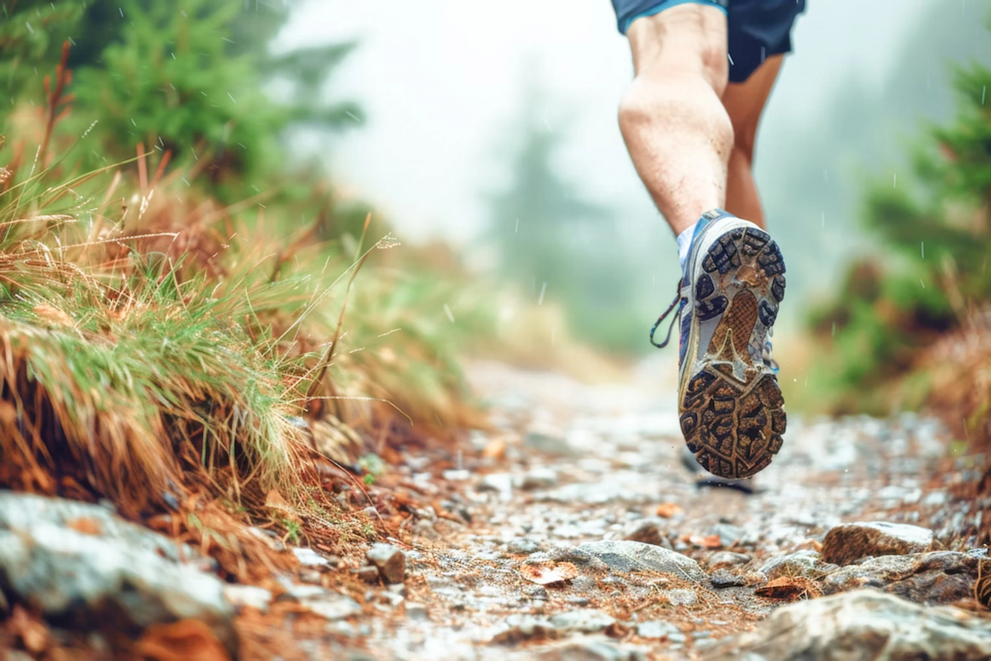 Si Kilian Jornet court le monde, il n'oublie pas qu'il lui est redevable.