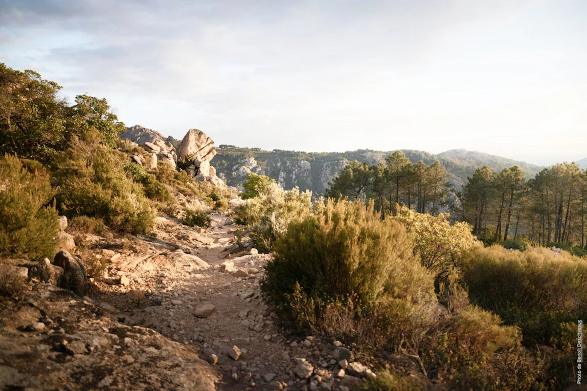 L'ultra-trail requiert une maîtrise dans de nombreux domaines (technique, alimentation, sommeil, etc.).