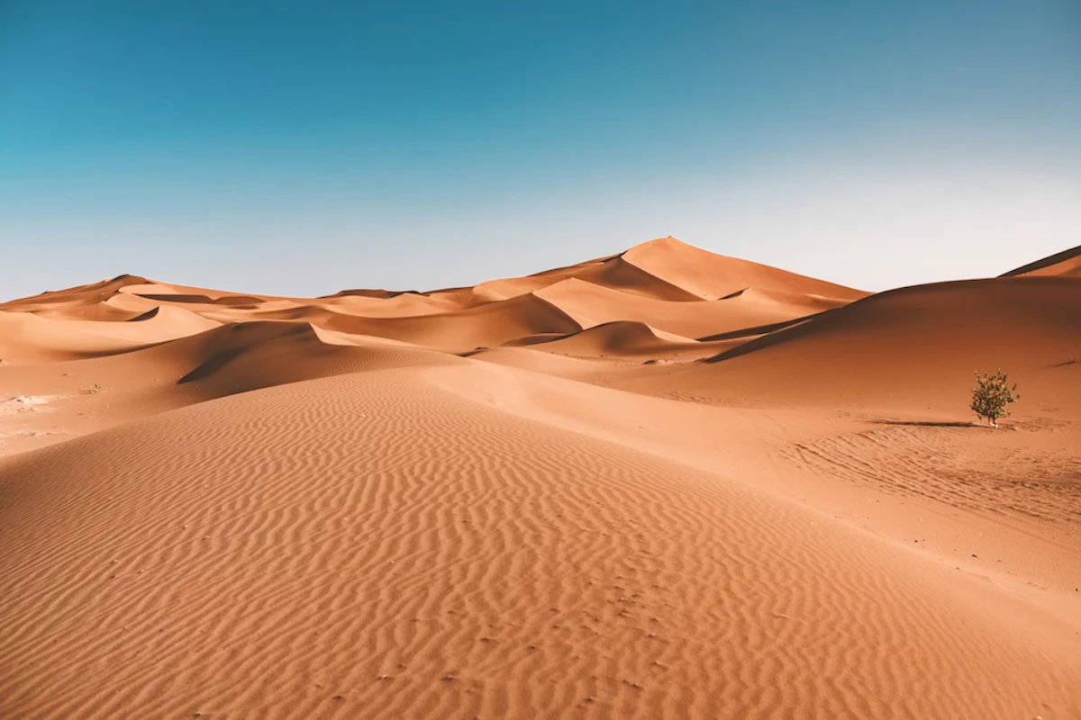 Courir dans le sable et par temps chaud, ça n'a rien d'évident !