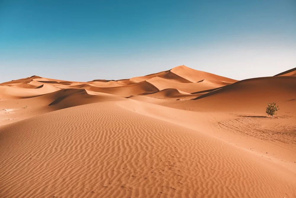 Courir dans le sable et par temps chaud, ça n'a rien d'évident !