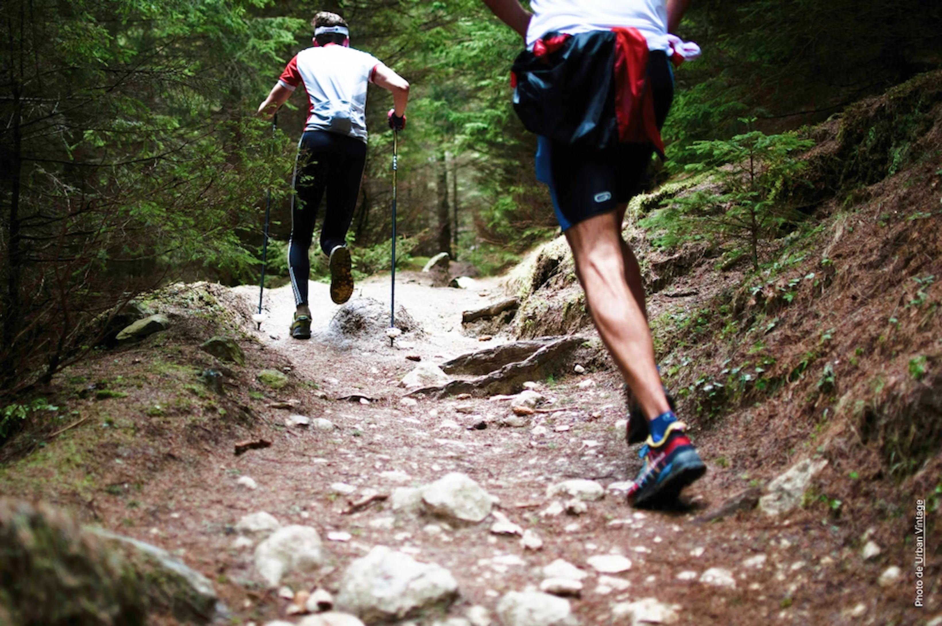 Volvic Halloween Trail