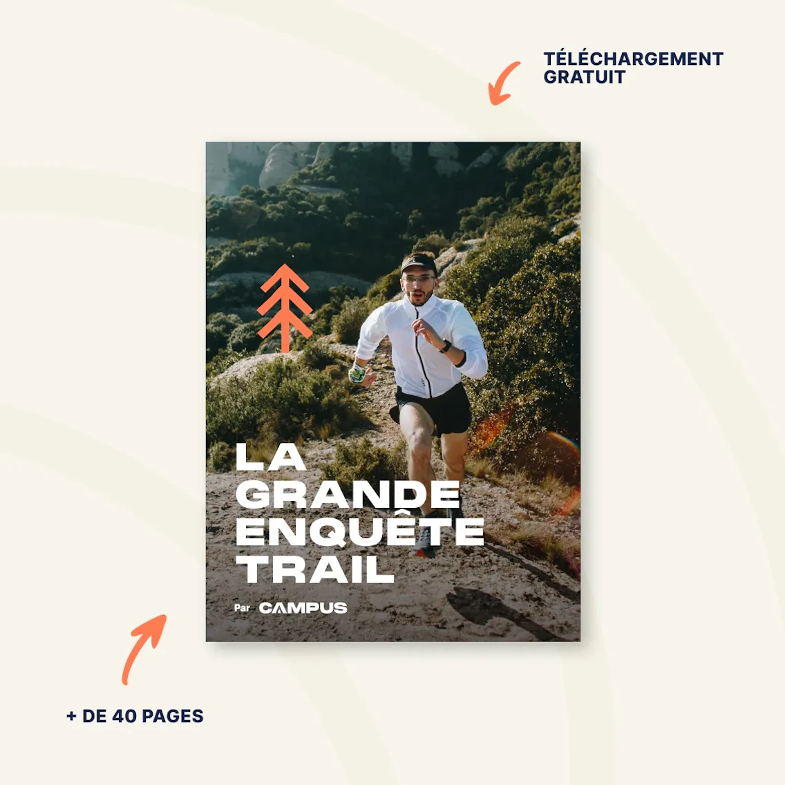 visuel features trail1