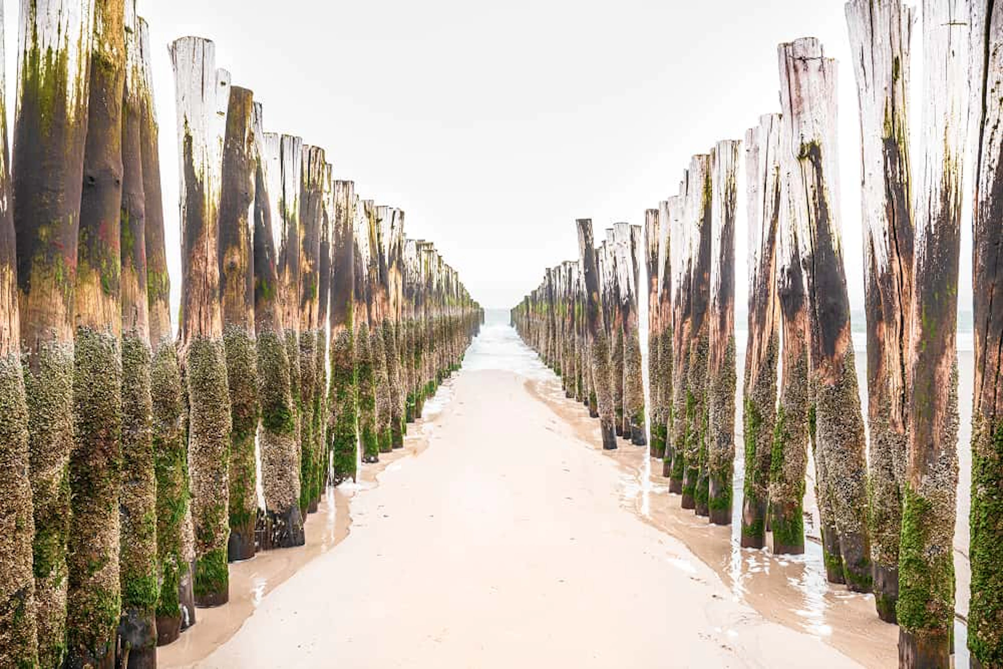 wooden wave breaking installations north sea zealand netherlands 1