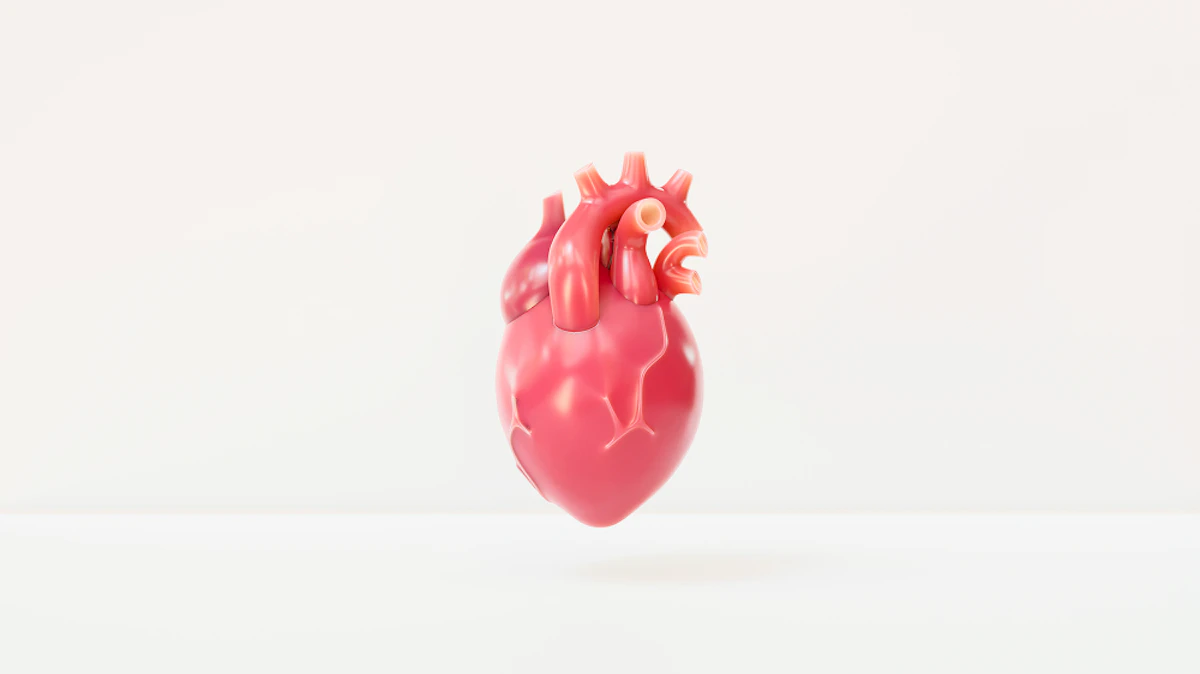 rythme cardiaque élevé