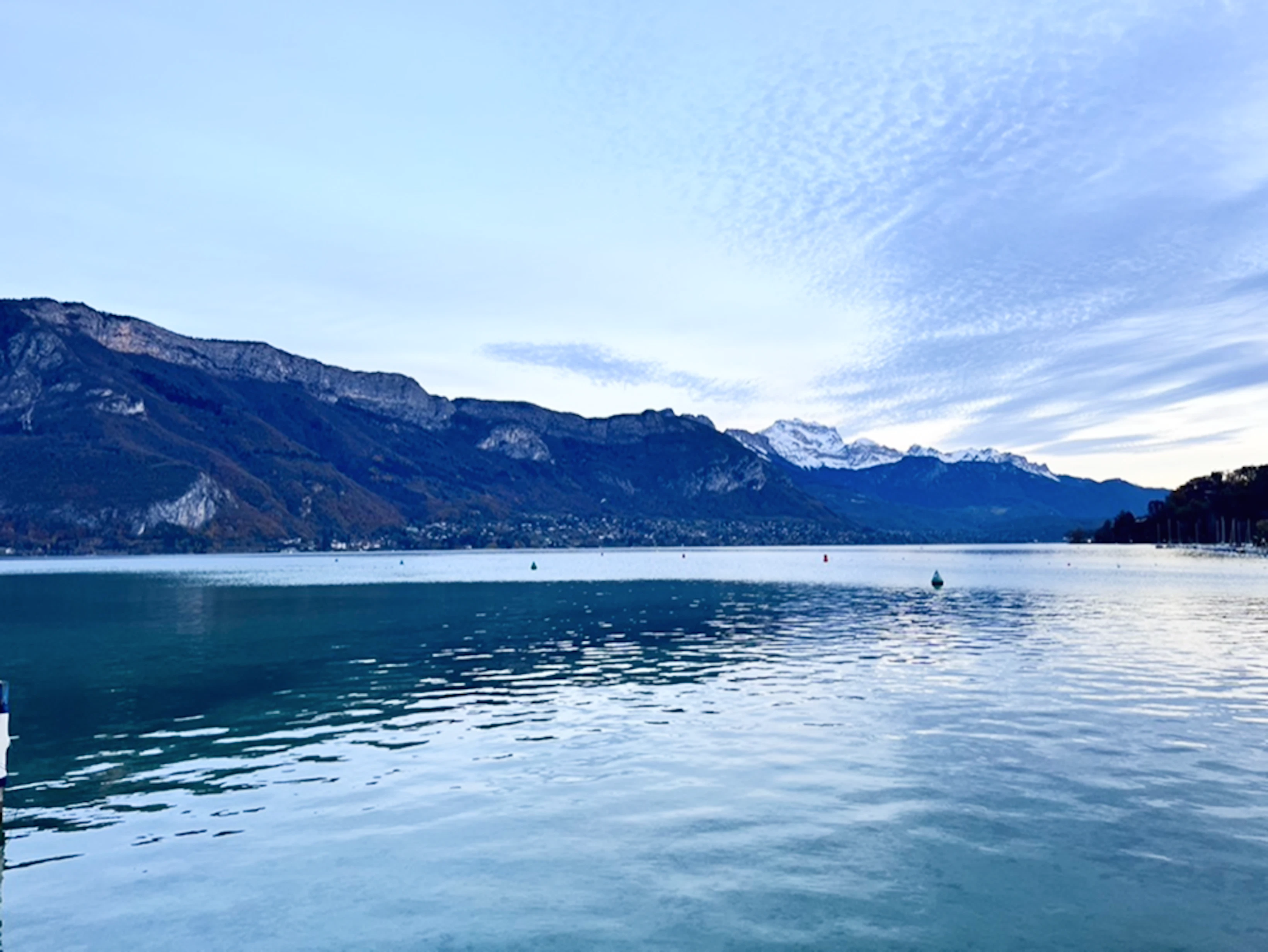 f51a113f 6f2e 45cc 9b13 421195ccc6f7 1 105 c 1