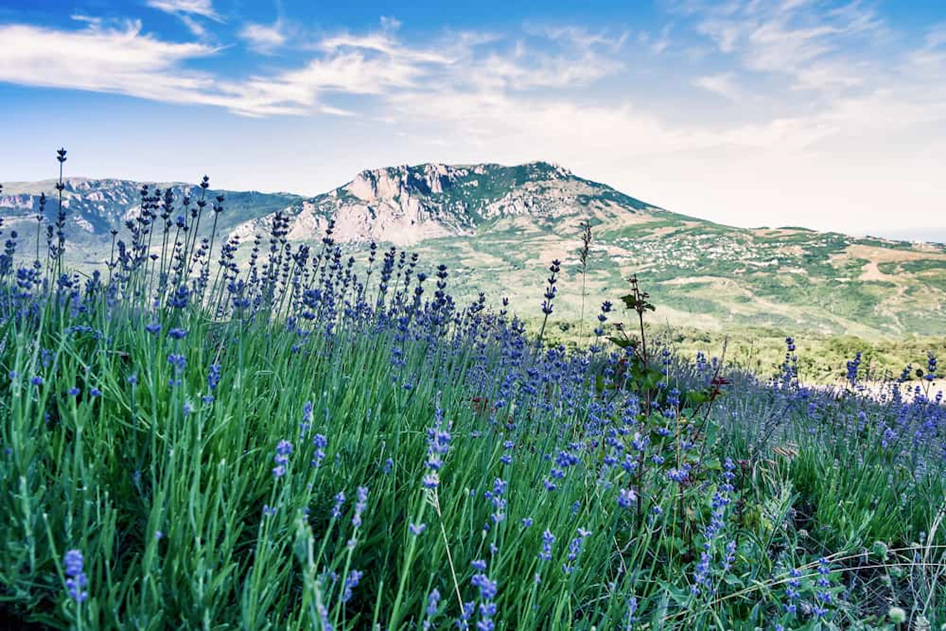 wide angle shot field grass mountain blue sky 1