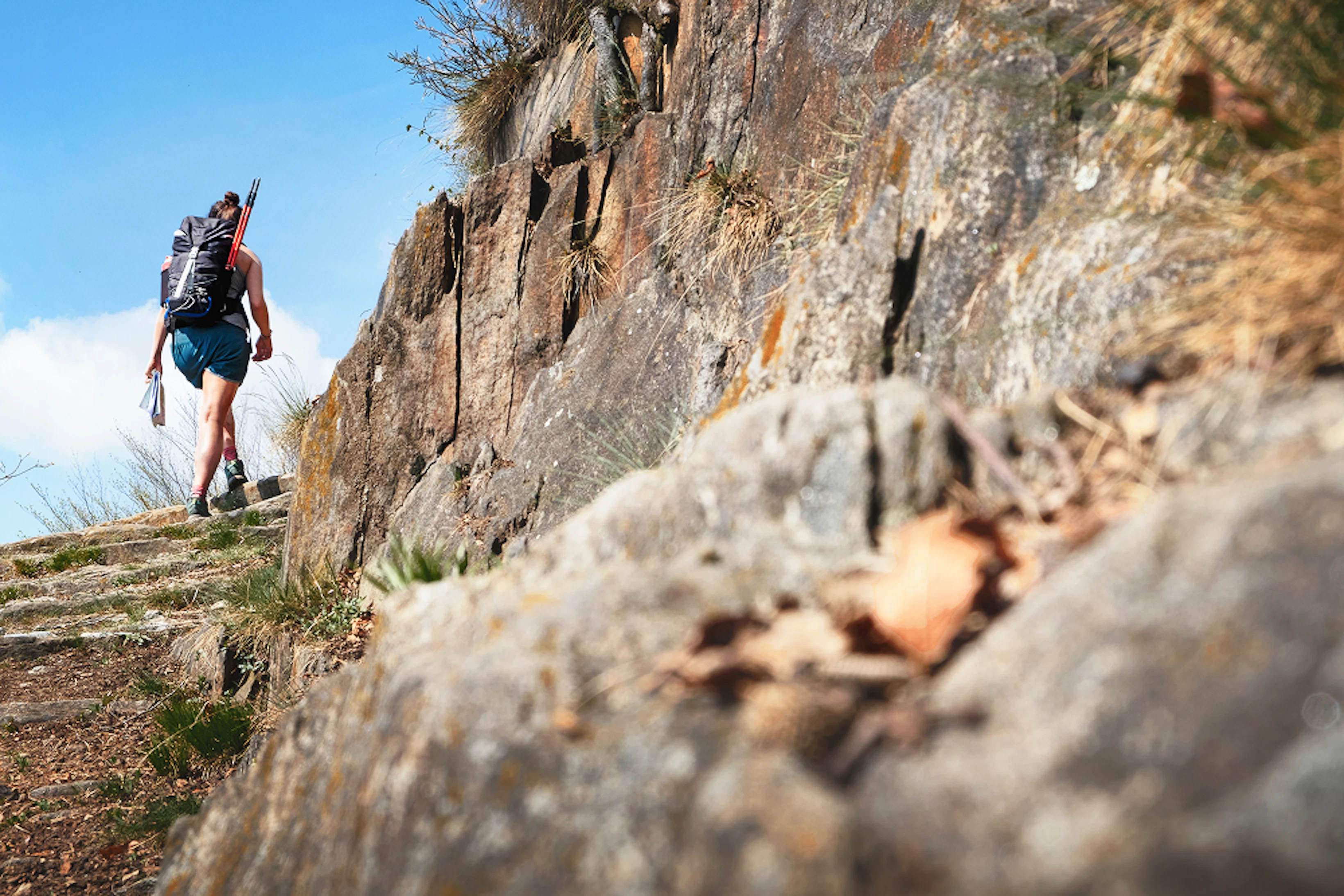 utmb