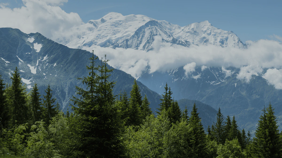 UTMB Mont-Blanc