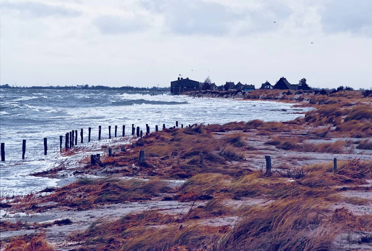 land with lot bushes near sea cloudy sky 1
