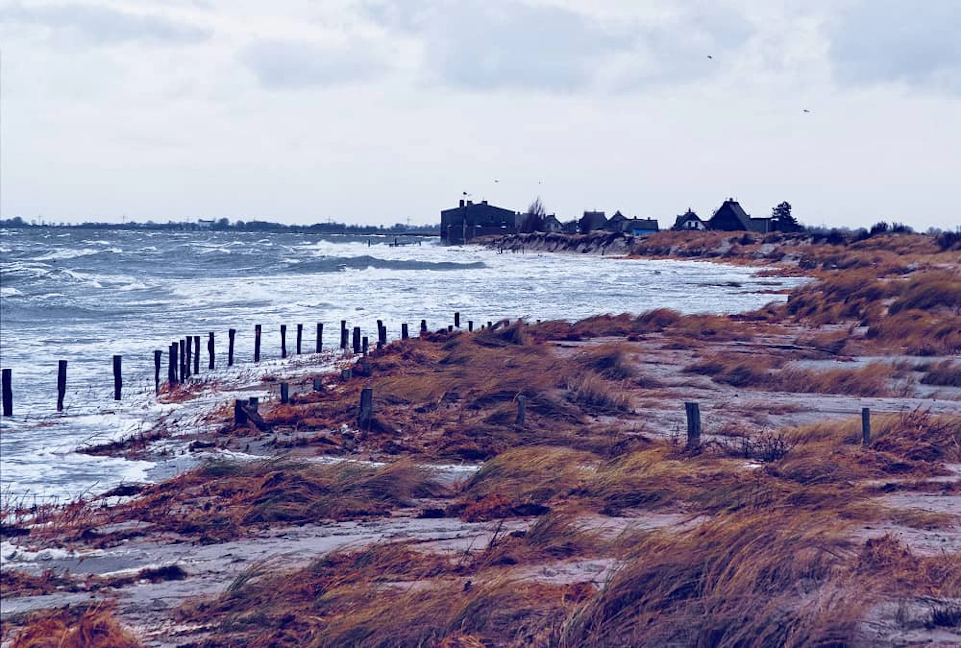 land with lot bushes near sea cloudy sky 1