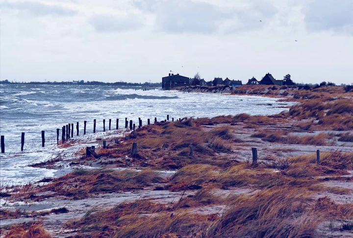 land with lot bushes near sea cloudy sky 1