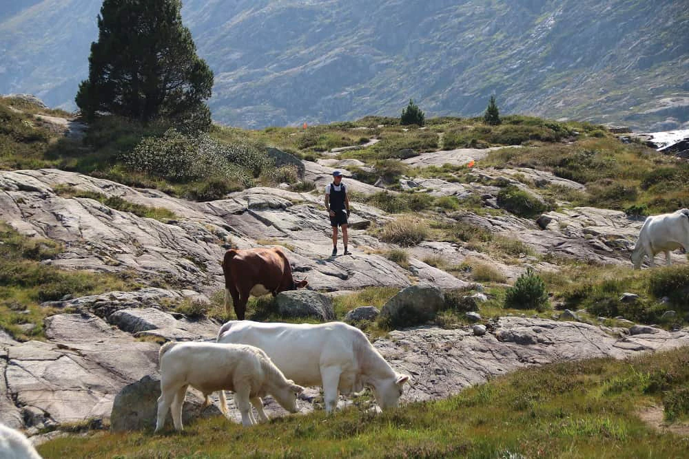 Marathon du Montcalm