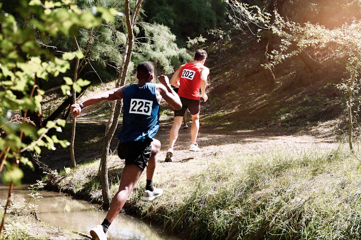championnats du monde de trail