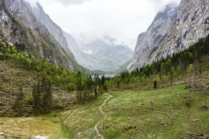 Festival des Templiers