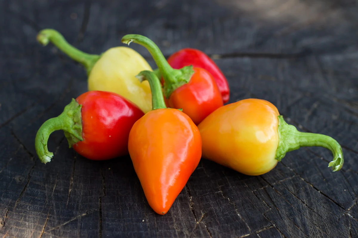 piment diagonale des fous