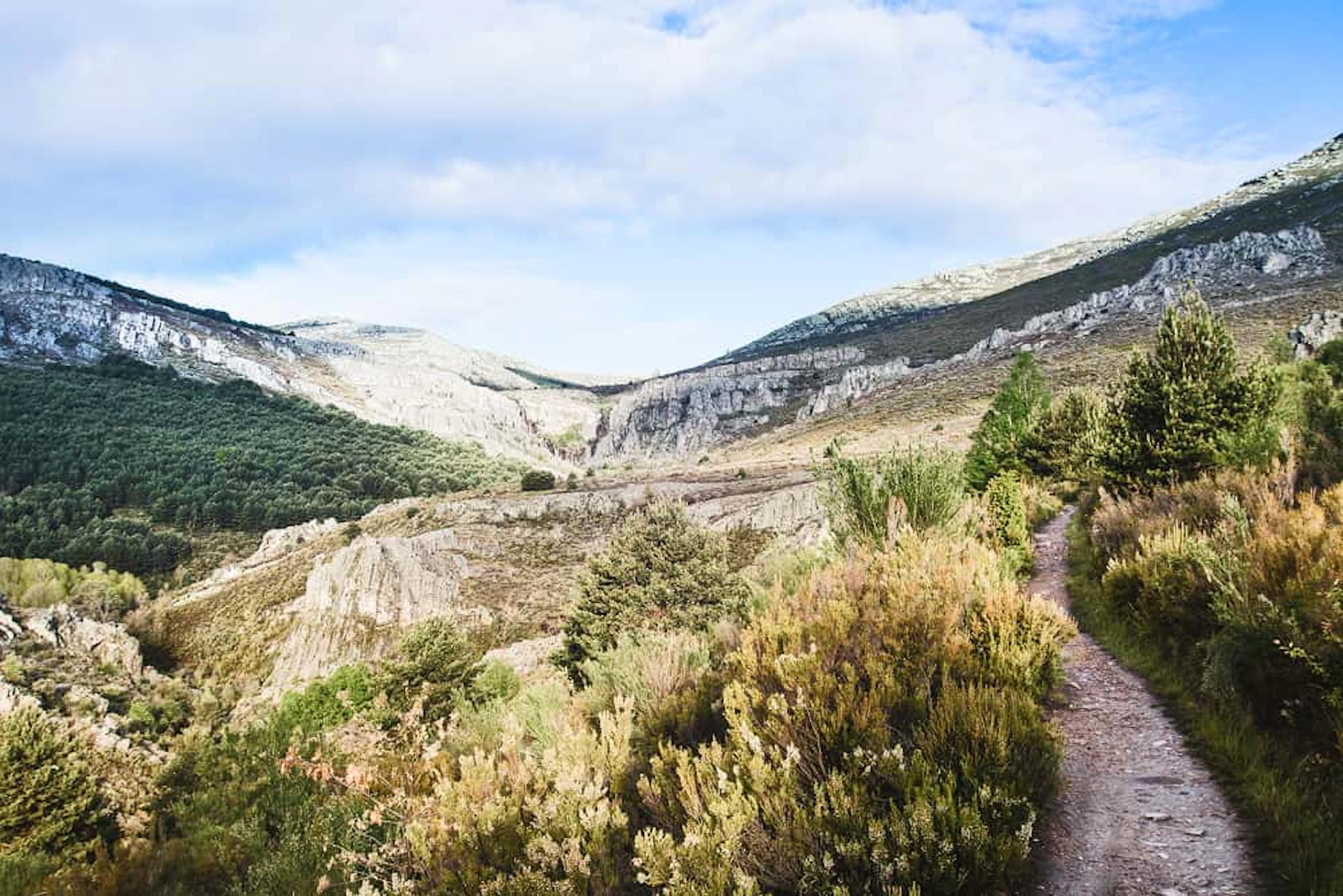 courir en montagne