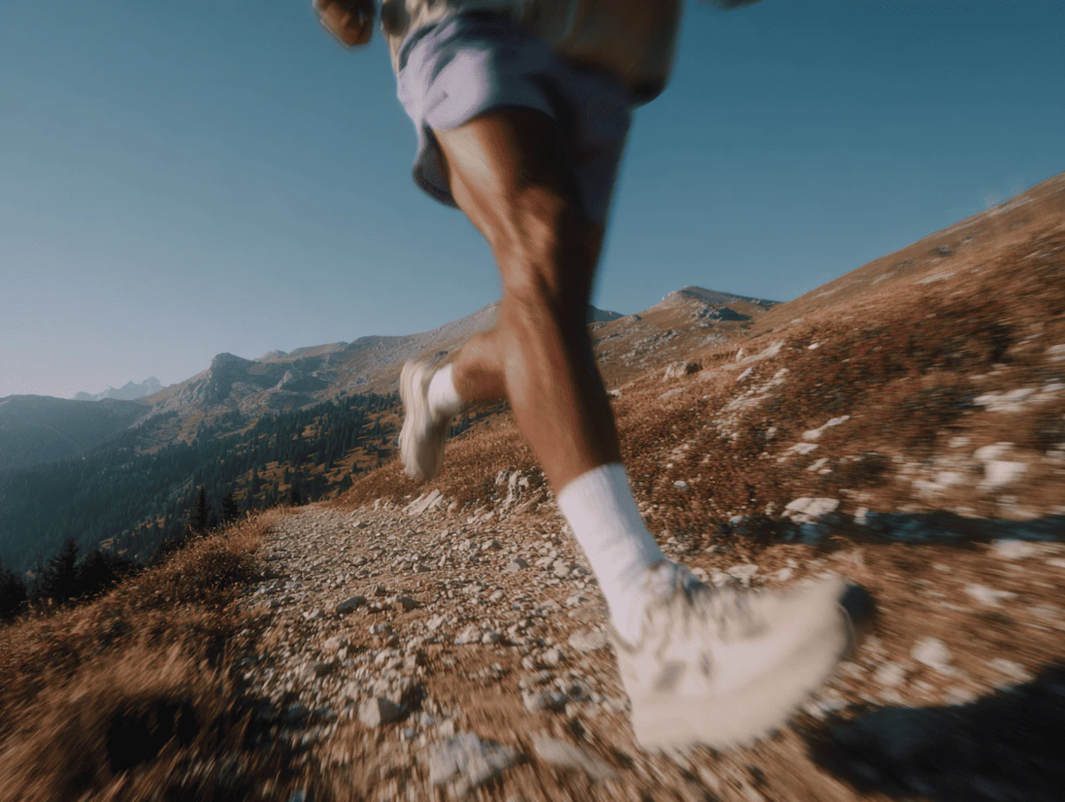 chaussure trail plaque carbone