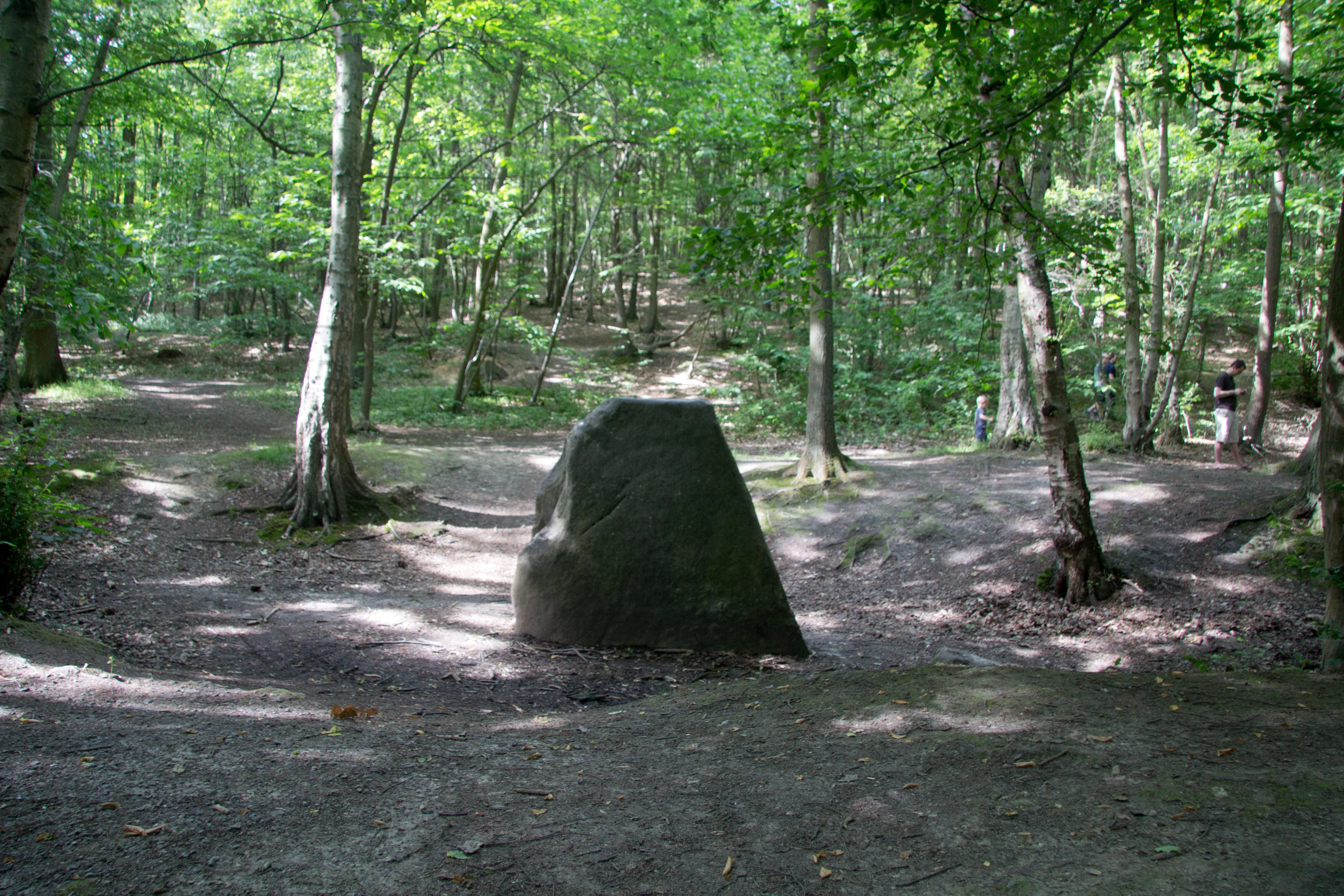 Foulée Verte de Clamart