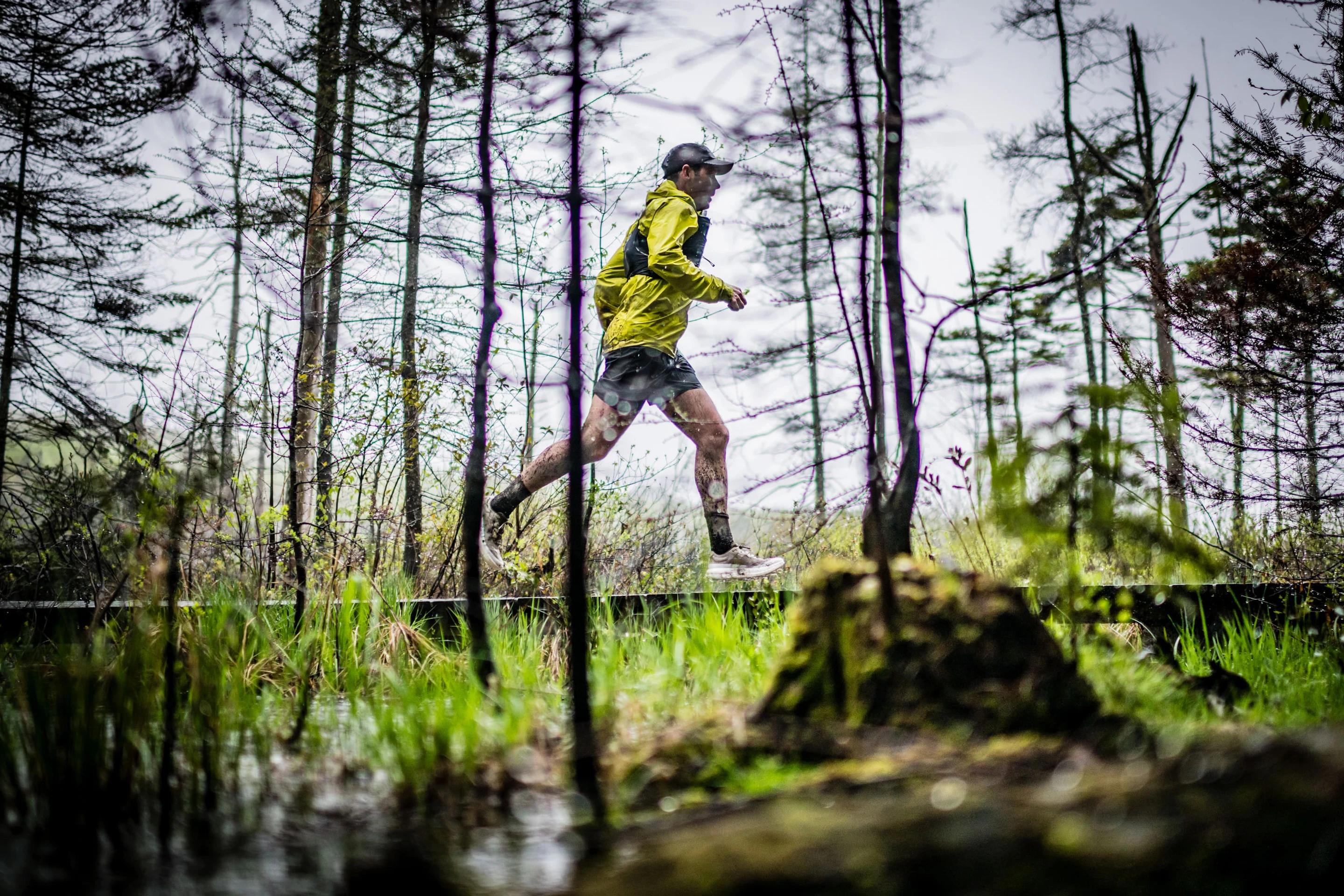 trail des bois de duchesnay