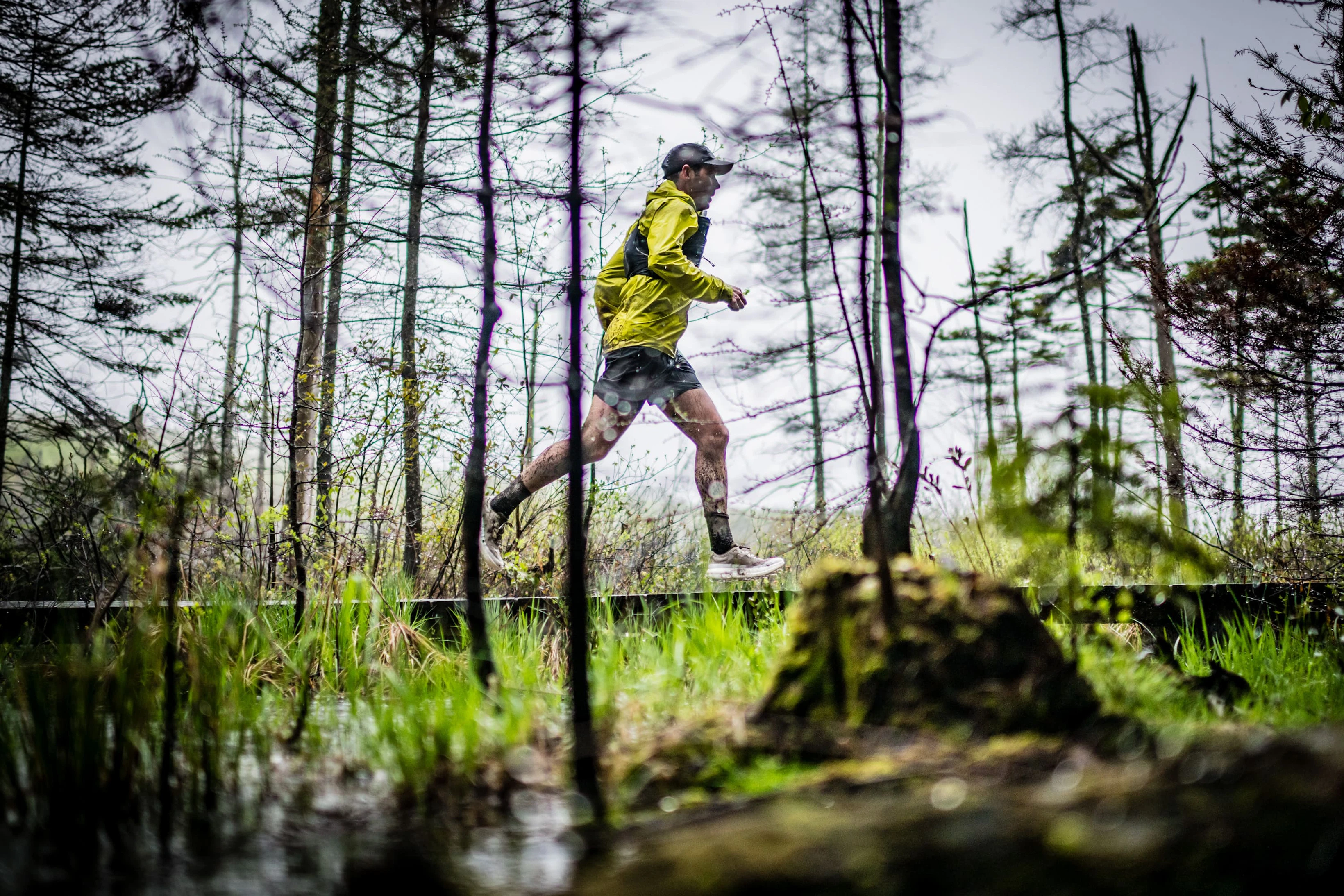 trail des bois de duchesnay