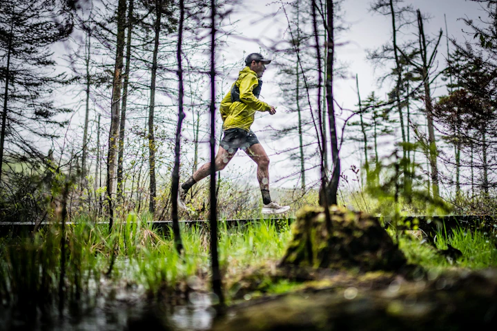 trail des bois de duchesnay