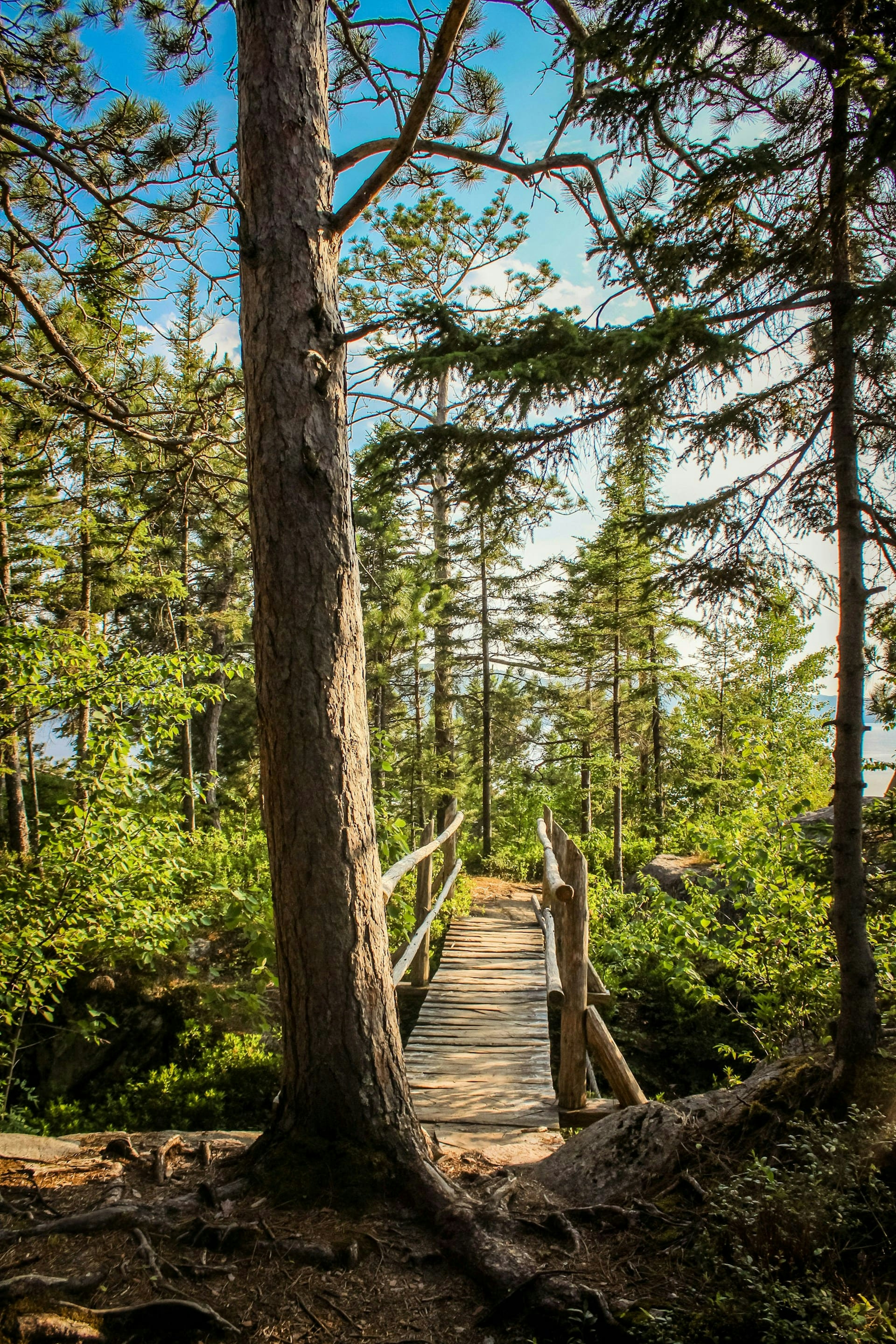 rimouski