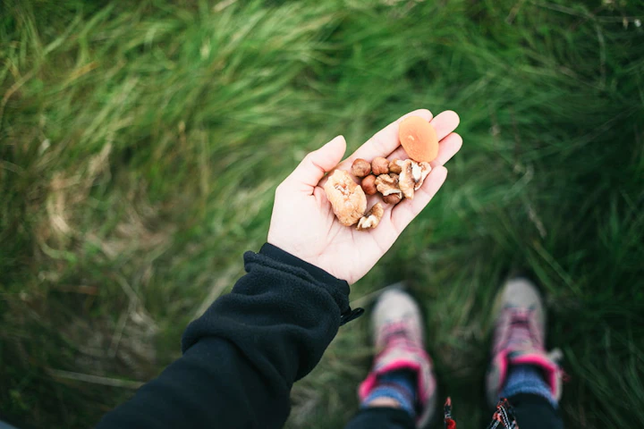 assortiment de fruits secs dans une main