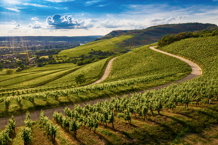 Paysage bourguignon avec ses routes qui serpentent et ses vignes.