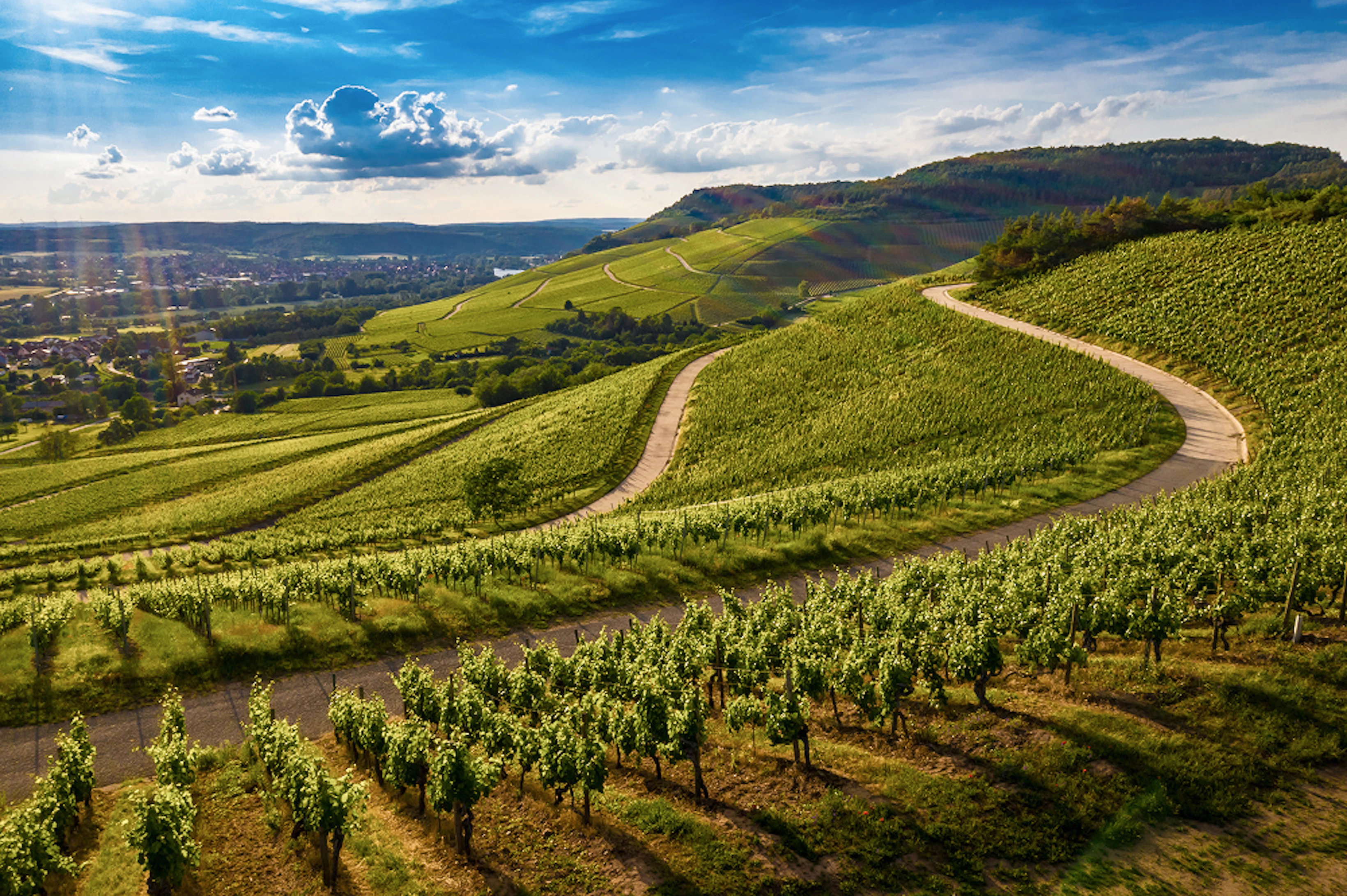 Paysage bourguignon avec ses routes qui serpentent et ses vignes.