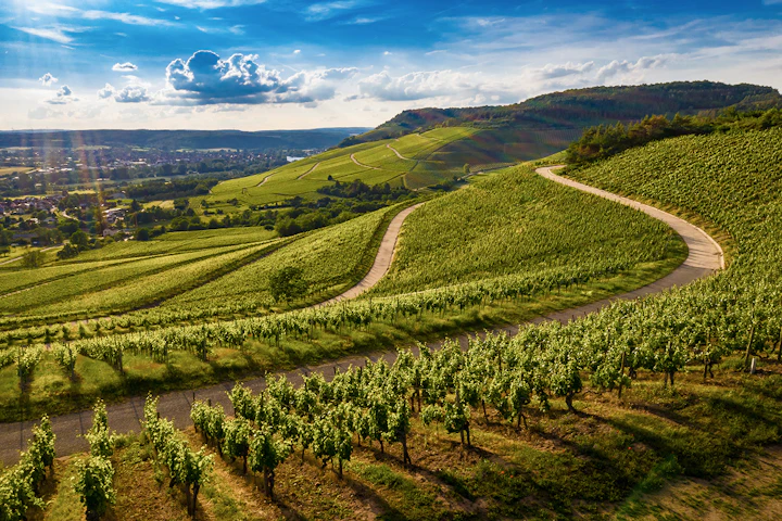 Paysage bourguignon avec ses routes qui serpentent et ses vignes.