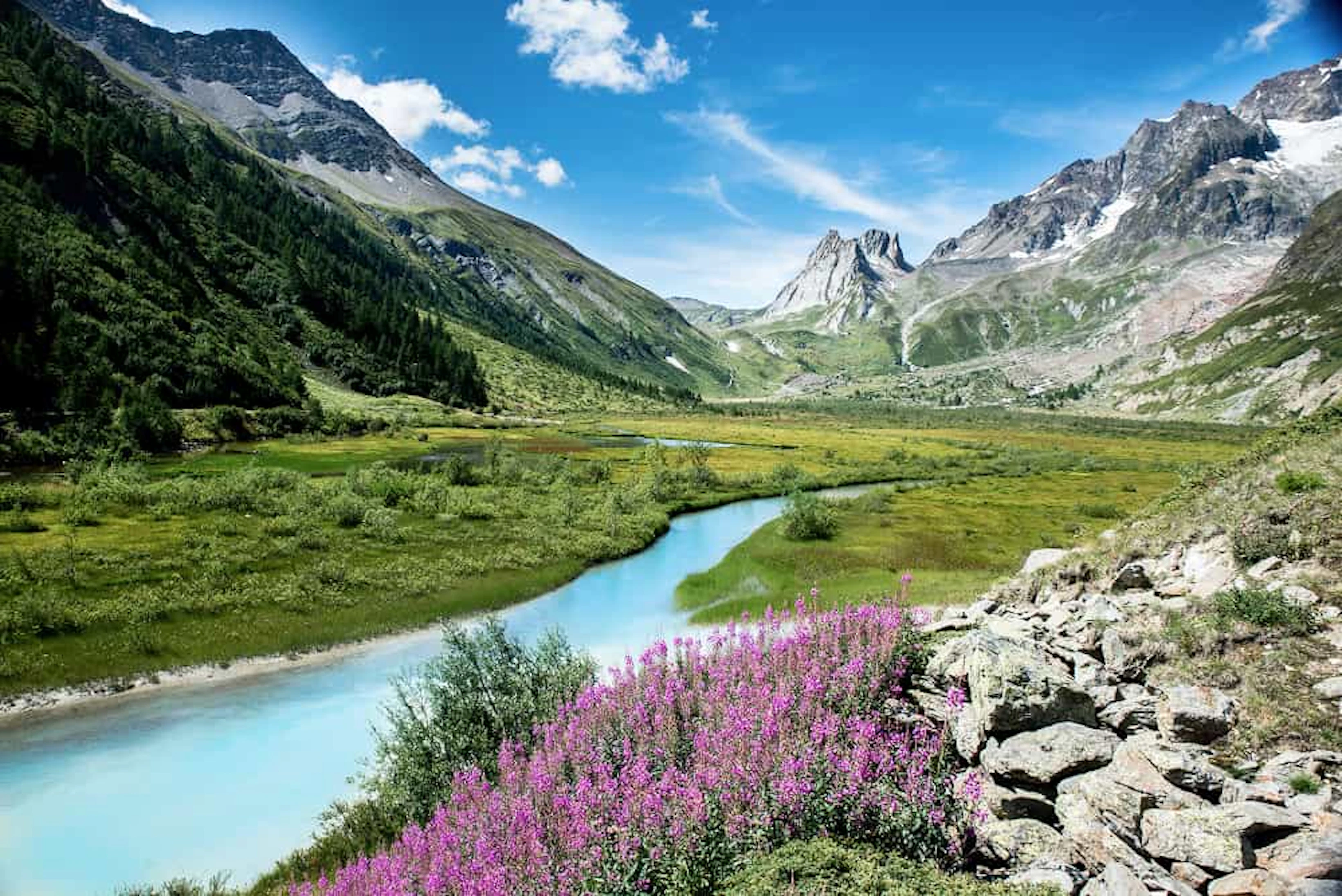montagne riviere fleurs