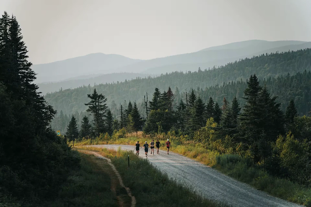 coureurs sur une route au milieu des sapins