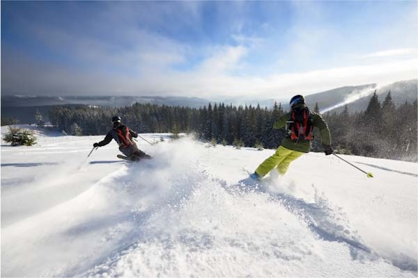 Freeride skiing in powder — off-piste descent in the Alps