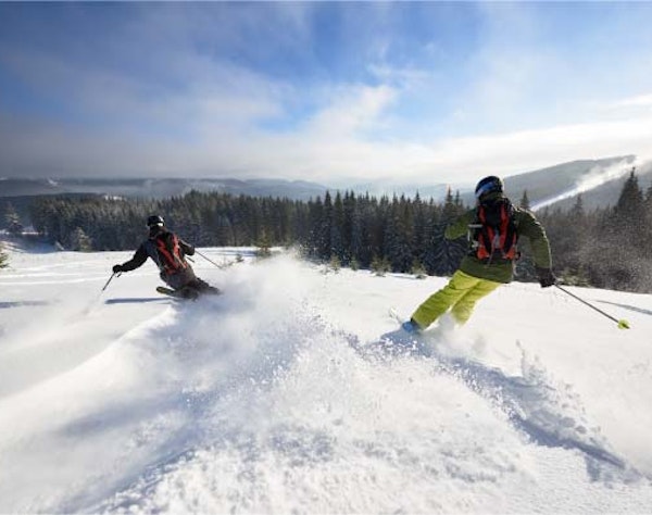 Freeride powder skiing Freeride skiing in powder — off-piste descent in the Alps
