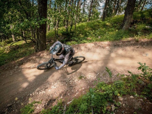 Top 5 best bike parks in the Alps