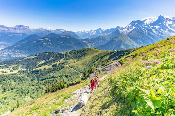 Hiking with Mont-Blanc view at Saint-Gervais-les-Bains in summer, Haute-Savoie