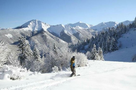 Skieur sur une crête de Guzet entre les arbres givrés en Ariège