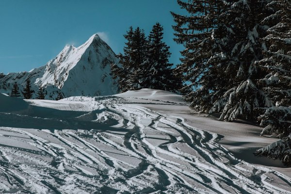 Forêt de sapins et montagnes enneigées du Roc d'Enfer en Haute-Savoie